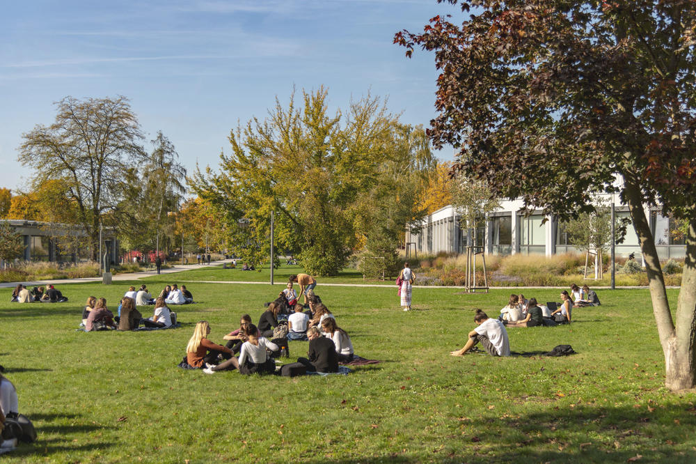 Irgendwann wird es wieder so aussehen: Studierende auf dem Campus der Freien Universität. Sie stehen im Mittelpunkt des Strategieprozesses Studium und Lehre 2030. In dieser Woche wurden die Ergebnisse aus den Arbeitsgruppen vorgestellt.