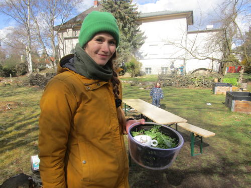 Sauerampfer, Rucola und Co. Rebecca Rongstock zeigt, wie Wildkräuter zu einem schmackhaften Pesto verarbeitet werden.