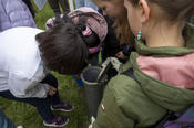 Die Schülerinnen untersuchen Proben aus dem Grundwasser aus bestehenden Bohrungen auf dem GeoCampus Lankwitz.