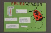 So geht Wissenschaft: Forschungsfrage, Experiment, Ergebnis, weitere Forschungsfragen, Limitationen.
