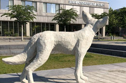 Eine neue Kojoten-Skulptur ziert den Vorplatz der Holzlaube – und auch der restaurierte Holz-Trickster ist zurück an der Freien Universität