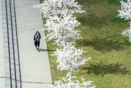 Bald nicht mehr allein auf dem Campus: Noch im laufenden Sommersemester soll wieder mehr Präsenz möglich sein. Der digitale Strategieprozesses hat die Vernetzung der Statusgruppen untereinander und die Kommunikation an der Universität befördert.