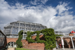 Mehr Garten, mehr Museum, mehr Wissen: Der Botanische Garten Berlin stellte sein Zukunftskonzept und die neue Marke „BO Berlin“ vor.