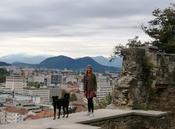 Zu Besuch in Ljubljana: Sonjas Hund Max