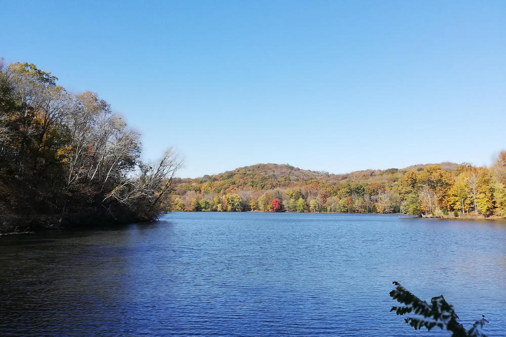 Gleich außerhalb von Nashville lädt der Radnor Lake zur Erholung vom Prüfungsstress ein.