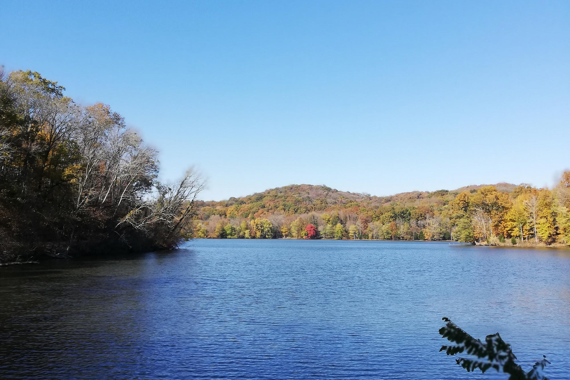 Radnor Lake