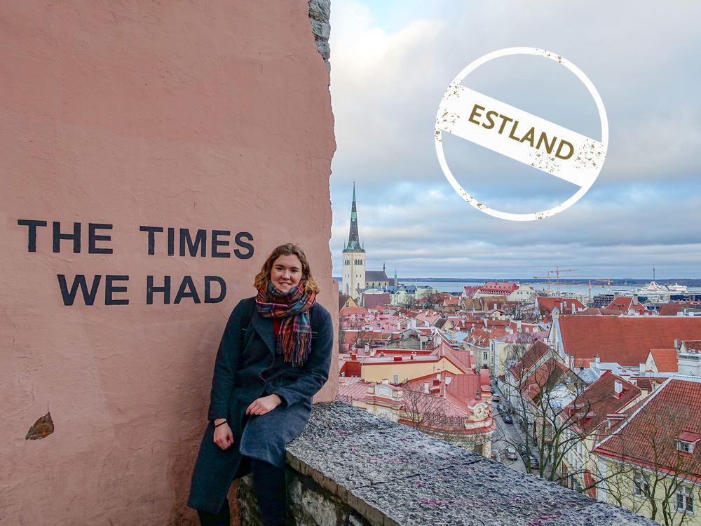 Von einer Aussichtsplattform aus blickt Elena Schulz-Ruhtenberg auf die Tallinner Altstadt und auf ein spannendes Erasmus-Semester zurück.