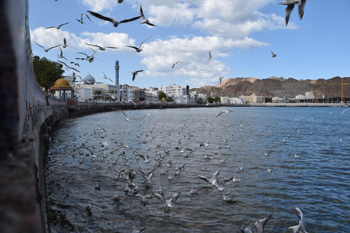 Der Hafen von Mattrah. Das Foto ist während eines Uniprojekts entstanden.