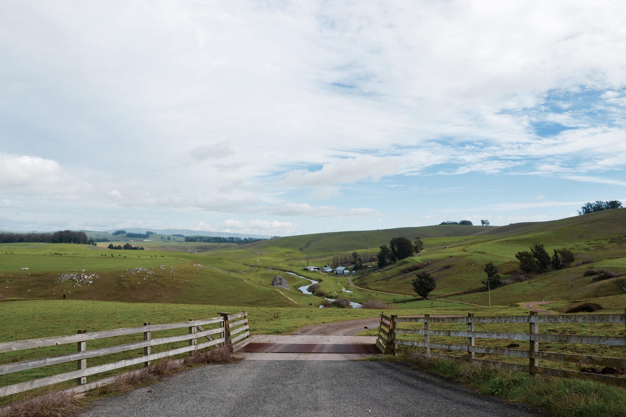 Auch das ist Kalifornien: Sonoma County, ein weltbekanntes Weingebiet im nördlichen Kalifornien.