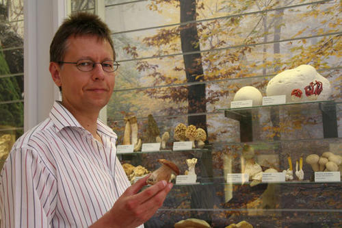 Champignon oder Steinpilz? Hansjörg Beyer berät seit vielen Jahren zum Thema Pilze
