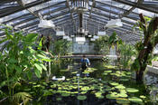 Der Botanische Garten der Freien Universität Berlin zählt zu den artenreichsten der Welt. Hier wird in Kooperation mit dem Institut für Biologie geforscht.