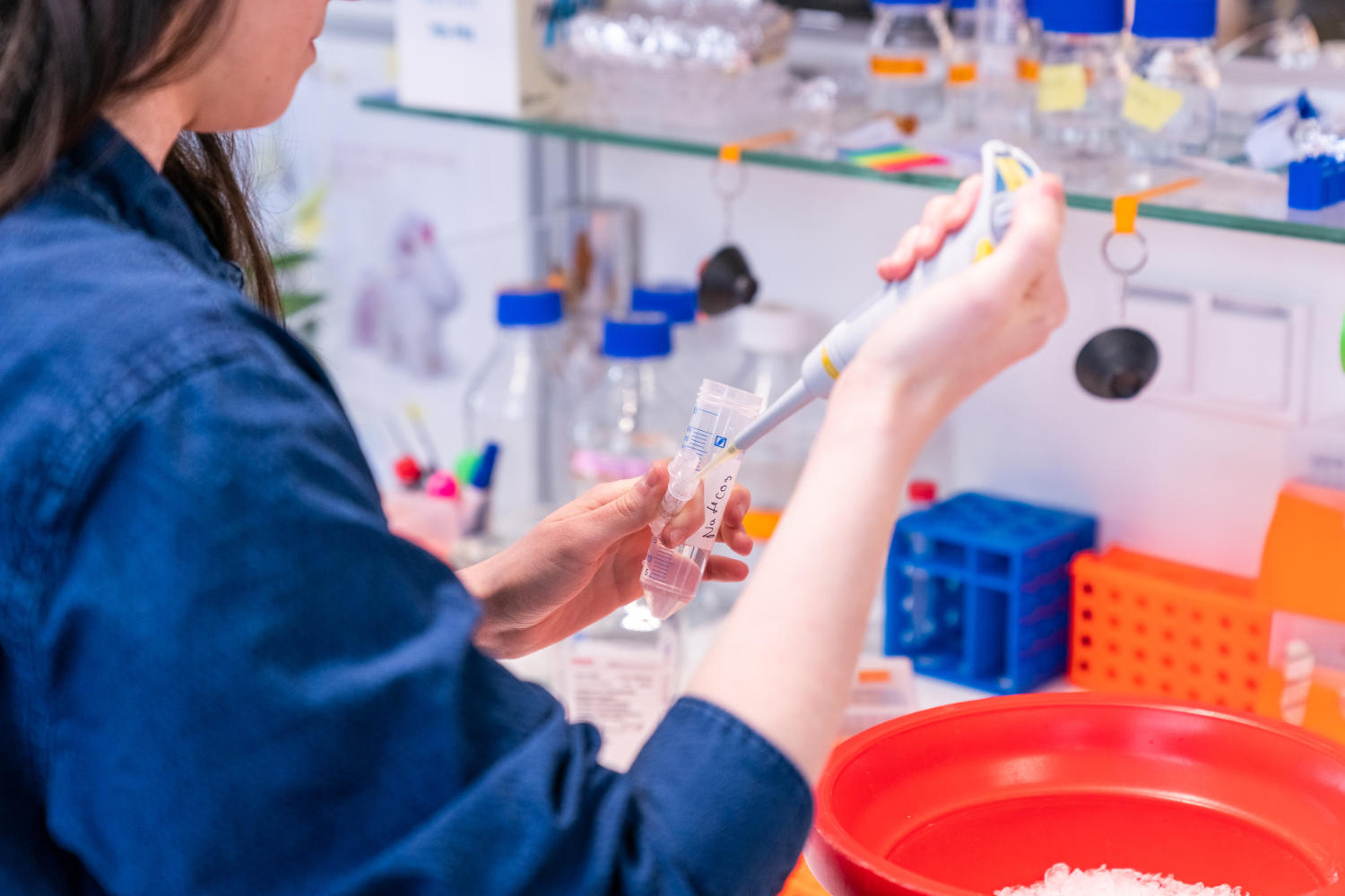 Biologie, Chemie, Pharmazie • Einrichtungen • Freie Universität Berlin