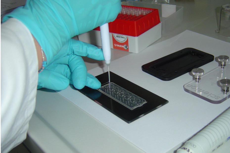 Veterinärmedizin • Einrichtungen • Freie Universität Berlin