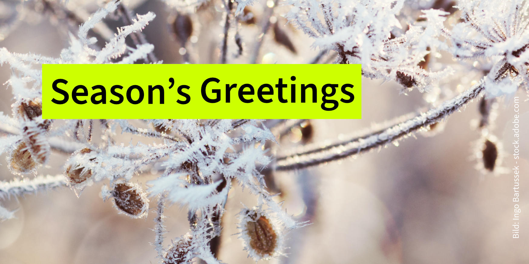 Wishing you a peaceful, healthy, and successful 2026!