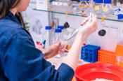 The Institute of Pharmacy at Freie Universität is one of the largest pharmaceutical training facility in Germany.