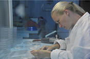 The Plant Sciences graduate program offers doctoral students advanced education in plant sciences.