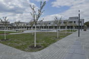 The Institute of Ancient Near Eastern Languages and Civilizations is located in Dahlem at Fabeck Street 23.