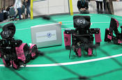The FUmanoids created by the Institute of Computer Science are small soccer-playing robots.