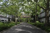 The two main buildings of the Department of Physics are located on Arnimallee in Dahlem.