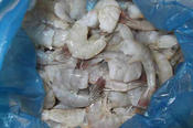 In the research group "Vibrio" bacteria are examined that are found in coastal waters or aquaculture. Around the world these bacteria are increasingly causing more infections after the consumption of fish and seafood.