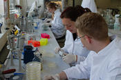 Lab work at the institute: in the chemistry working group, for example, food is tested and categorized according to legal standards.