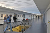 Business and economics are the most popular degree programs in Berlin.