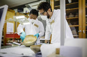 Freie Universität has a strategic partnership with the Prussian Cultural Heritage Foundation (Stiftung Preußischer Kulturbesitz). Pictured here are two researchers at the workshop "Shared Knowledge," devoted to collaborative provenance research.
