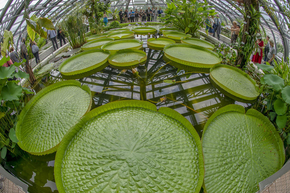 The World In A Garden Featured Stories Freie Universitat Berlin