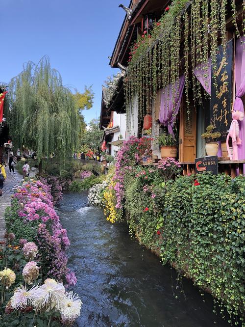 Many flowers adorn the old town of Lijiang.