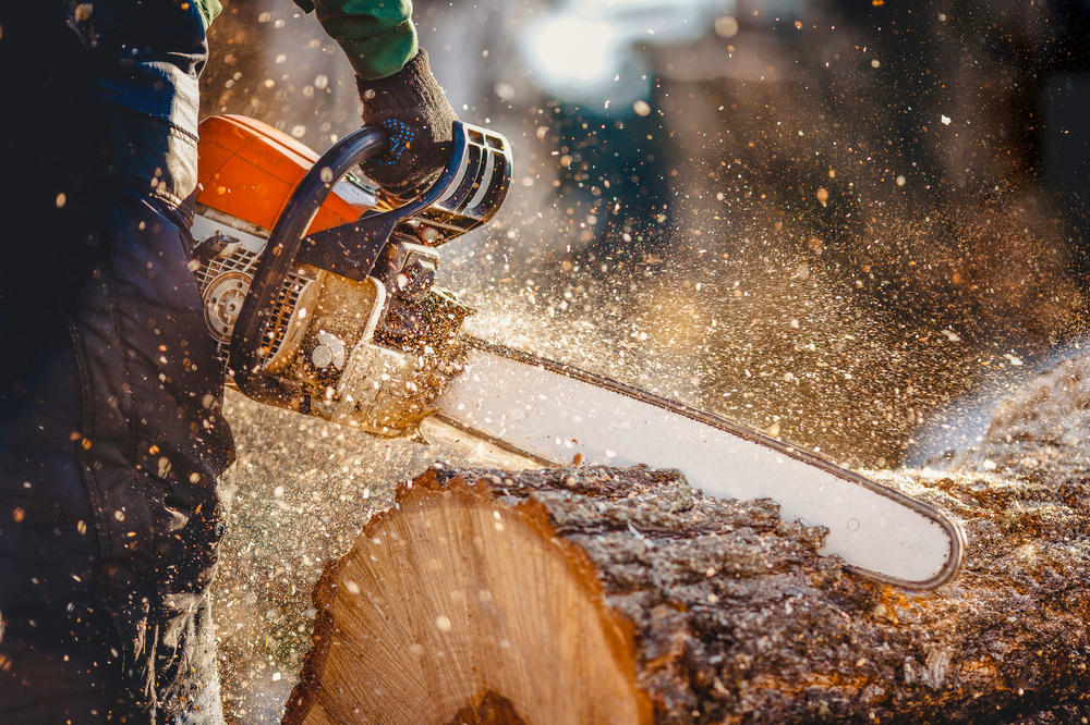 Sawdust is not just lumber mill waste. It is a source of valuable raw material for industrial production.
