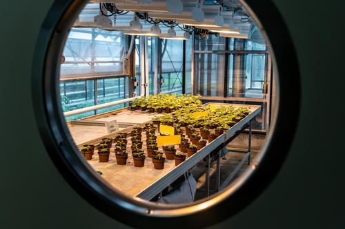 Not only pandemics, but also political instability, wars, or natural disasters can severely disrupt research. Following ten rules can help research groups prepare for this in advance.