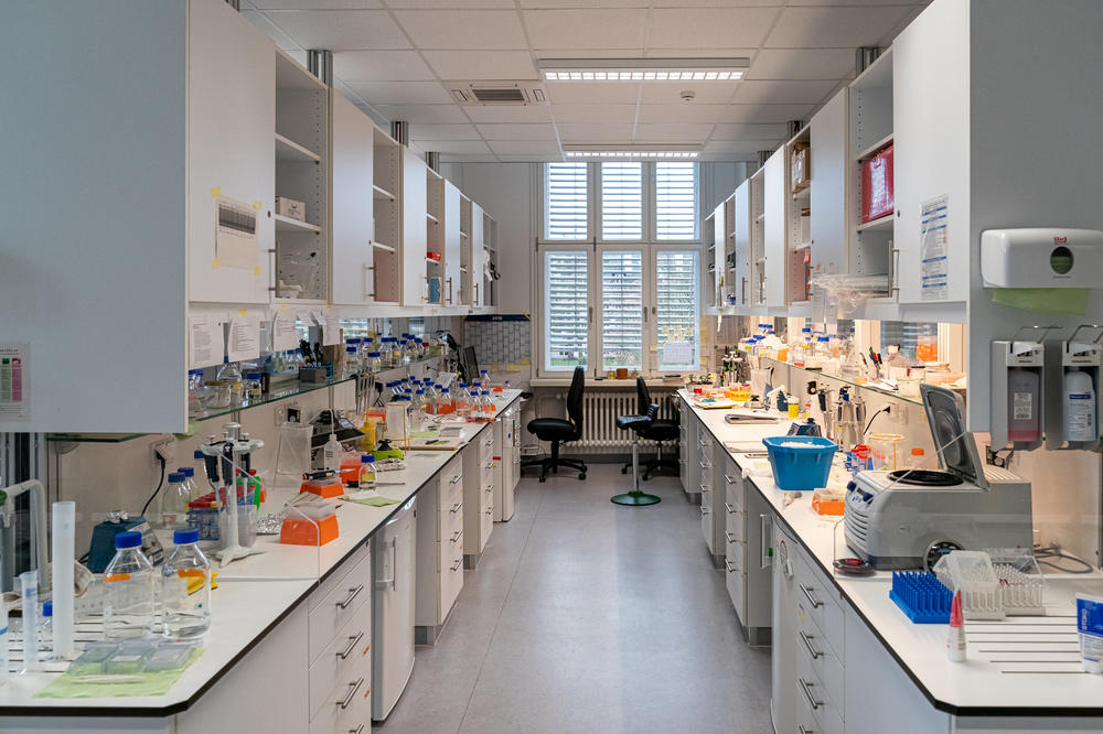 Theoretical approaches such as concept development, modeling, and analysis of secondary data can be continued without access to the laboratory.