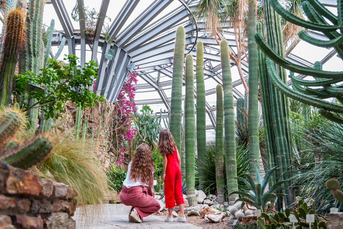 The cactus conservatory presents dry habitats of the New World with cacti, agaves, and other succulent plants. Other greenhouses display the flora of the wet tropics and subtropics. The heart of the complex is the Großes Tropenhaus.