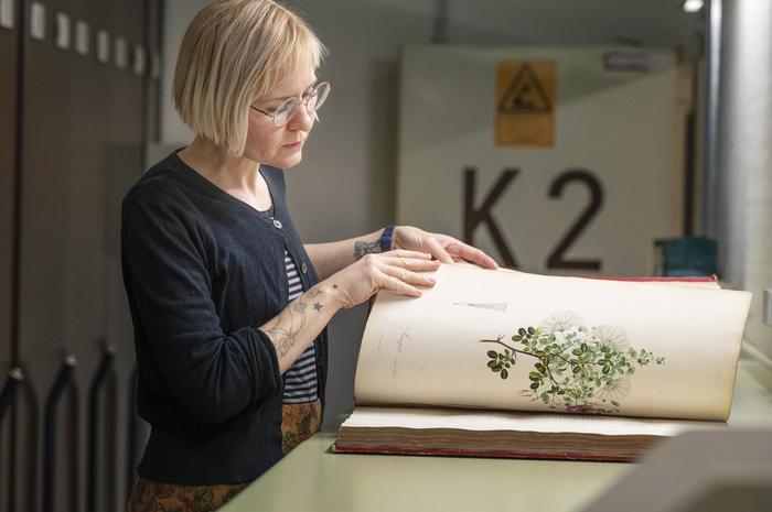 Lisa Trzaska is researching the origin of a richly illustrated edition of Alexander von Humboldt’s travelogue on South America.