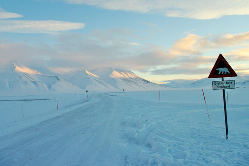 Encounters with polar bears are possible everywhere in Svalbard and in every season. This photo was taken last September.