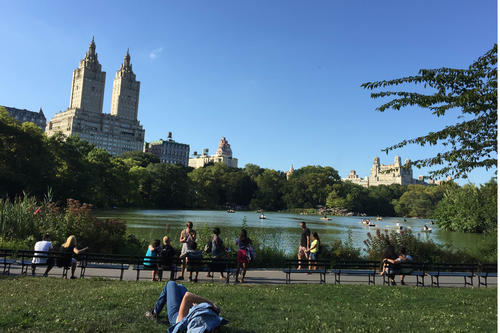 The Lake in Central Park.