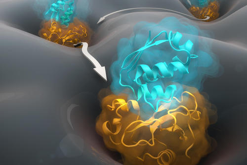 Noé has made important scientific contributions in the field of “Markov Modeling” and its application to protein simulations.