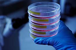 FU_Biochemie 9444