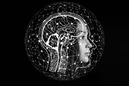 brain-6