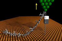 Single polymer chains as molecular wires