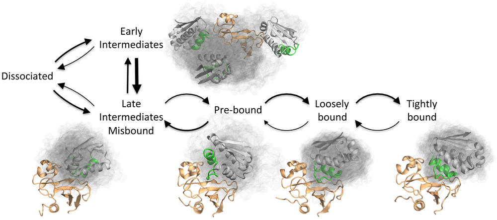 TOC Figure Caption