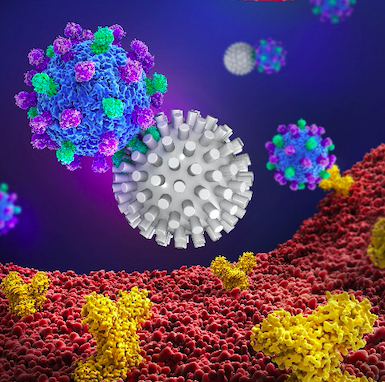 Image 2: Spiky surface nano particle-virus binding interface