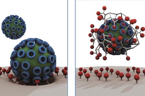 The activity of influenza A viruses is inhibited by biomimetic multivalent receptor interactions.