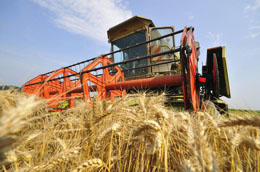 Hot, dry summers like the one in Europe last year are tough for farmers.