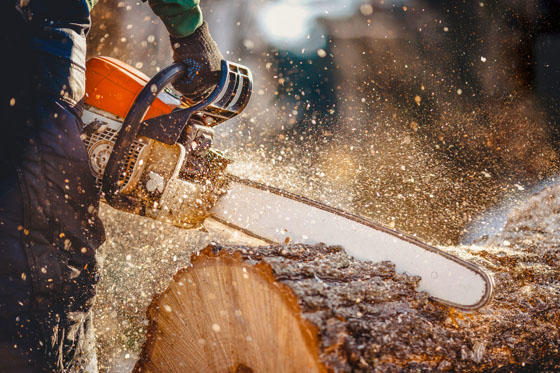 Sawdust is not just lumber mill waste. It is a source of valuable raw material for industrial production.