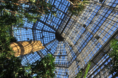 Large Tropical Conservatory of the Botanic Garden