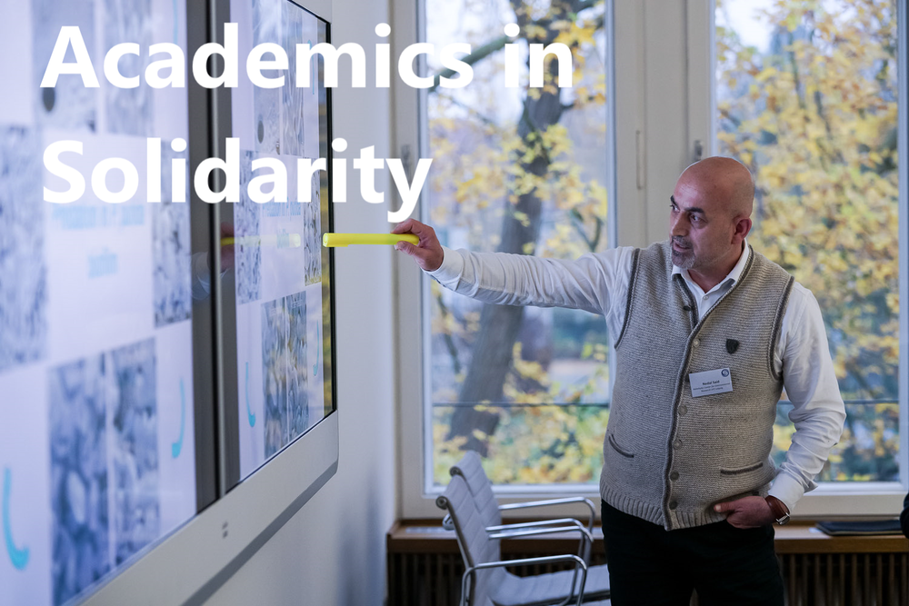 Academics in Solidarity