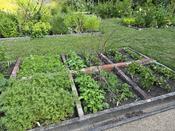 Crop Garden
