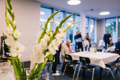 FU-Berlin_Goldene_und_Silberne_Promotion_2023_346