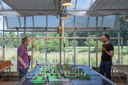 Plant Research in Dahlem